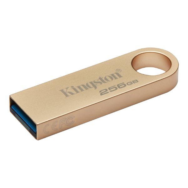 Memoria USB Kingston DataTraveler SE9 G3 256GB